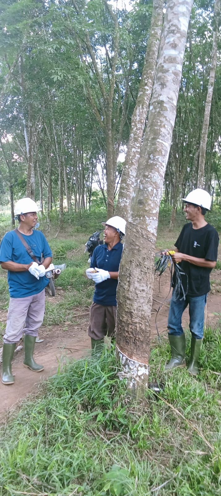 Dokumentasi Kegiatan Konservasi Lingkungan